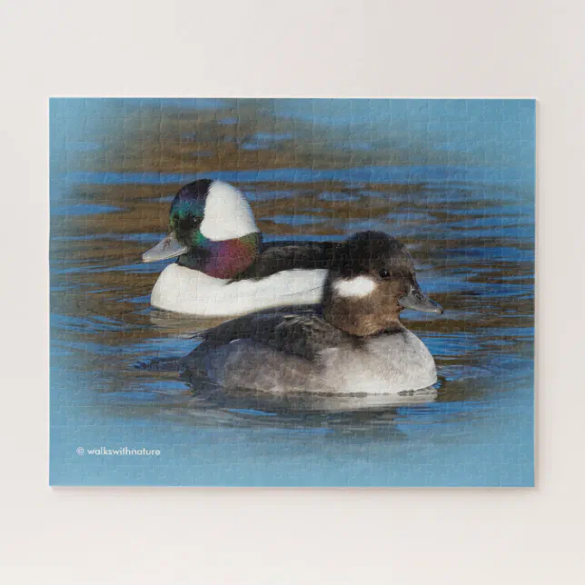 Cute Bufflehead Ducks Lovebirds at Winter Pond Jigsaw Puzzle