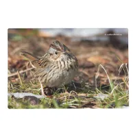 Cute and Spunky Lincoln's Sparrow Placemat