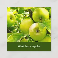 Apple Orchard Cider Press Tree Fruit Grower Farm  Square Business Card