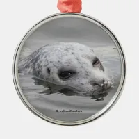 Funny Harbor Seal Coyly Winks at Photographer Metal Ornament