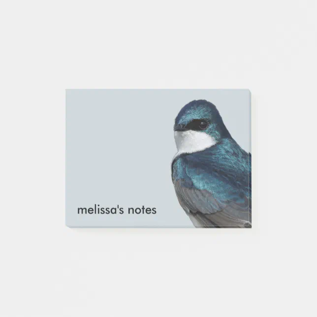 Handsome Tree Swallow: Songbird on a Wire Post-it Notes