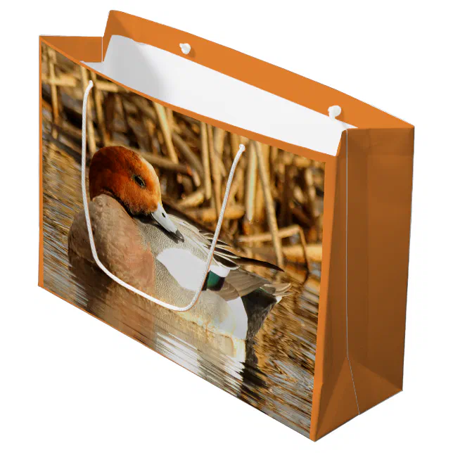 Handsome Stranger in Town Eurasian Wigeon Large Gift Bag