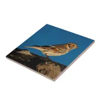 Lapland Longspur on a Sunlit Log Ceramic Tile