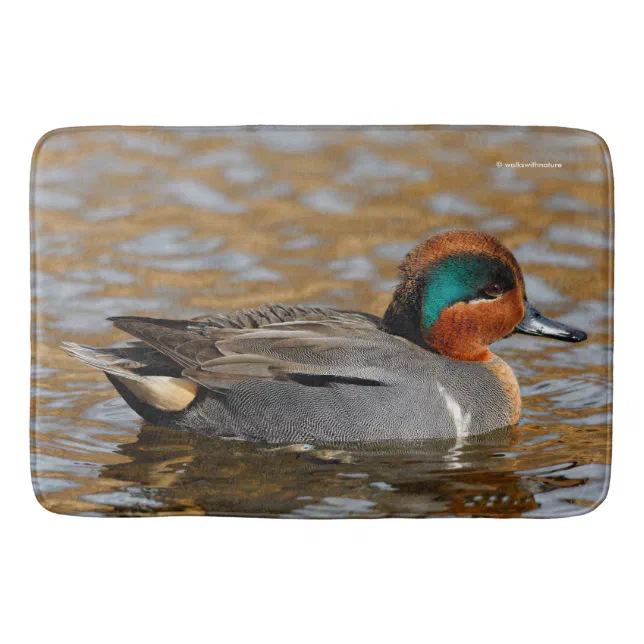 A Chatty Green-Winged Teal Duck at the Pond Bath Mat