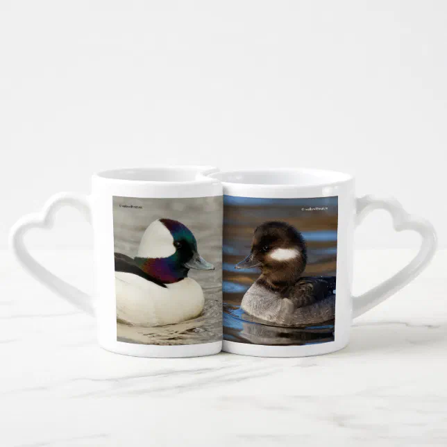 Bufflehead Duck Lovebirds on the Lake Coffee Mug Set