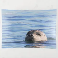 Funny Harbor Seal Periscopes the Pier Dock Trinket Tray