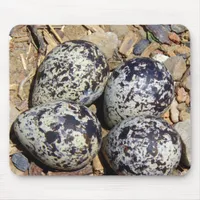 KillDeer Nest With Eggs Mouse Pad