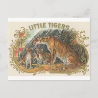 Vintage Little Tigers Postcard