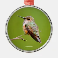 Rufous Hummingbird Sitting in the California Lilac Metal Ornament