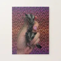 Baby Sugar Glider Puzzle