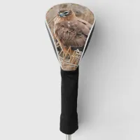 Beautiful Northern Harrier Hawk in the Marshes Golf Head Cover