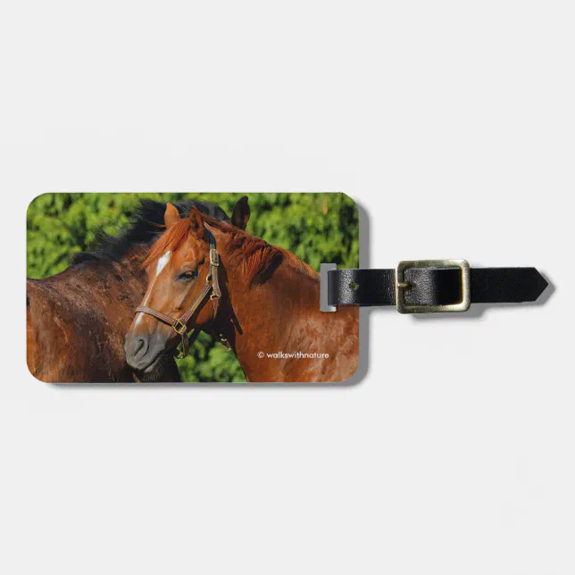 Two Beautiful Chestnut Horses in the Sun Luggage Tag