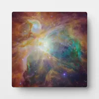 Orion Nebula Plaque