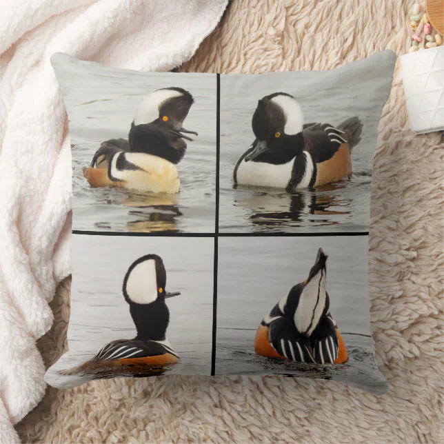 Four Funny Faces of Hooded Mergansers Ducks Throw Pillow