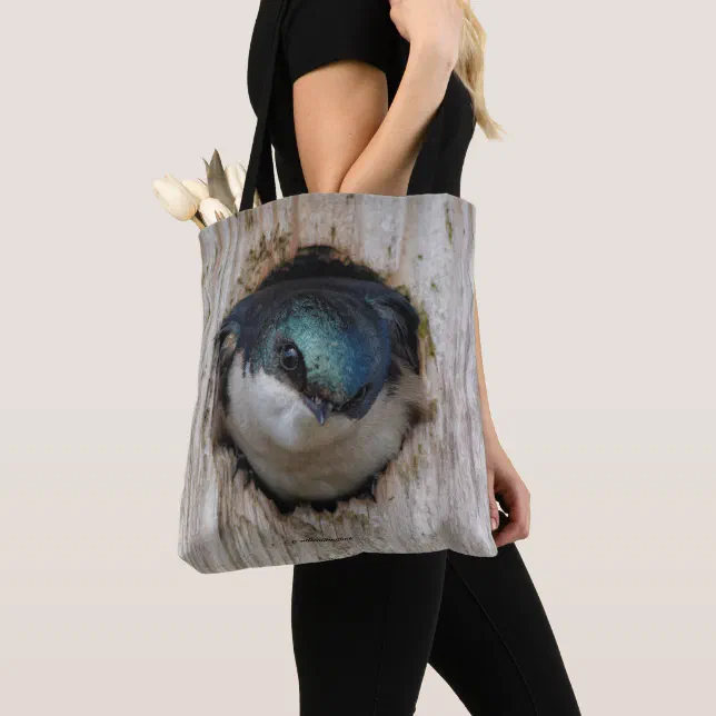 Tree Swallow Songbird in Nestbox Tote Bag