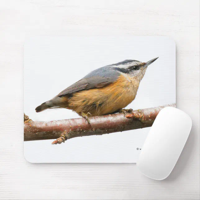 Beautiful Red-Breasted Nuthatch Songbird Mouse Pad