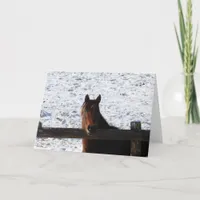 Winter Horse, Christmas Holiday Card