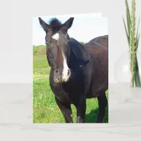 Funny Mare Birthday Card