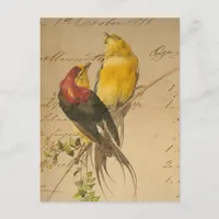 Colorful Vintage Birds On Vintage Ledger Paper Postcard