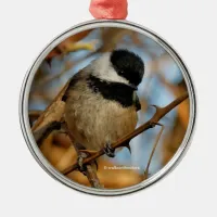 Cute Hopeful Black-Capped Chickadee Songbird Metal Ornament