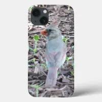 Pretty Female Cardinal Cell Phone Case