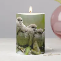 Heartwarming Cute Bushtits Songbirds Family Photo Pillar Candle