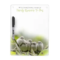 Heartwarming Cute Bushtits Songbirds Family Photo Dry Erase Board
