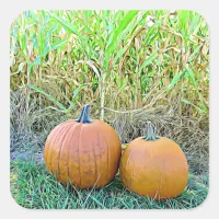 Two Cute Pumpkins in Cornfield Halloween Stickers