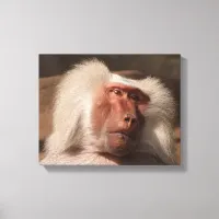 Cute Monkey Poster Canvas Print