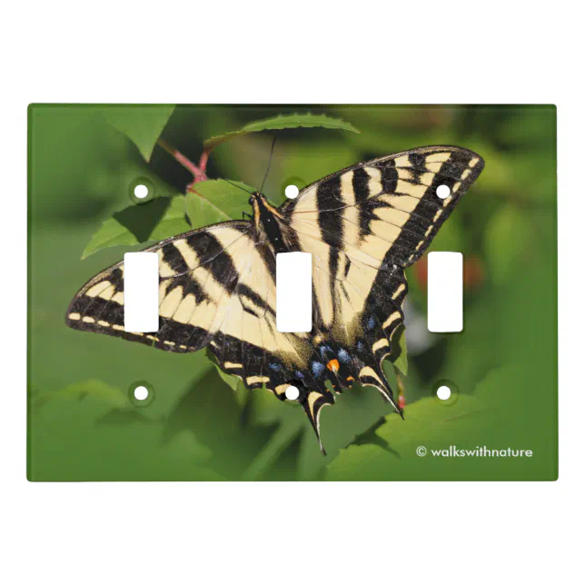 Beautiful Western Tiger Swallowtail Butterfly Light Switch Cover