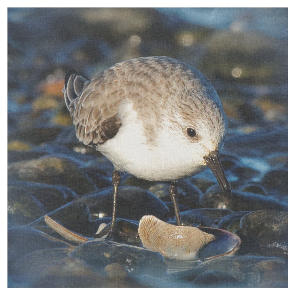 Cute Sanderling Sandpiper Shorebird Dines on Clam Fabric