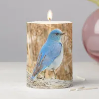 Beautiful Mountain Bluebird on Beach Driftwood Pillar Candle