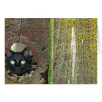 Greeting Card - Cat Peeking Through Fence