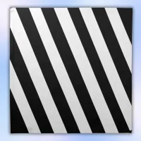 Simple Black and White Stripes | Cloth Napkin