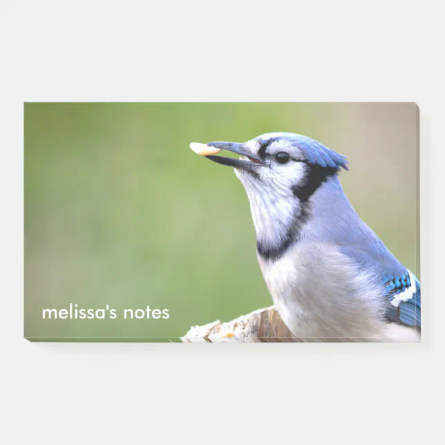 Cute Blue Jay Songbird with Peanut Post-it Notes