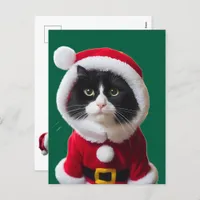 Christmas cat postcard