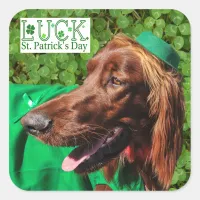 Lucky Irish Setter St. Patrick's Day Stickers