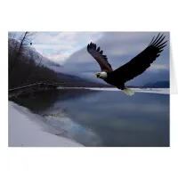 Chilkat Eagle Reserve Card