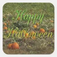 Pumpkin Patch Fall Autumn Halloween Stickers