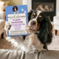 Spaniel dog King Charles Springer Invitation