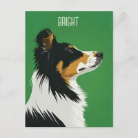 Australian Shepherd Postcard