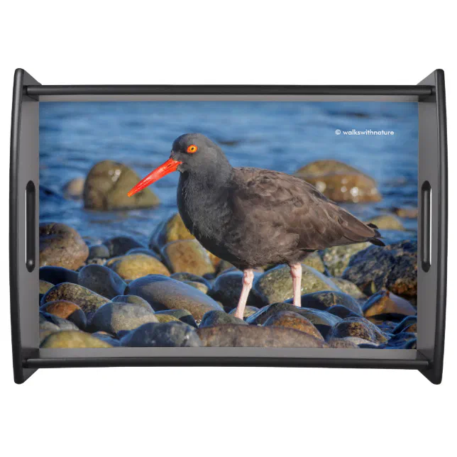 Profile of a Black Oystercatcher Serving Tray