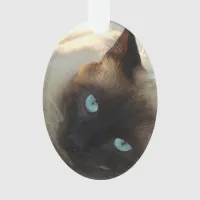 Add your Cat's Photo and name to this Cute Ornament