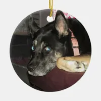 Add your Pet's Photo to this Christmas Ceramic Ornament