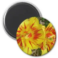 Yellow with Red Striped Flower Magnet