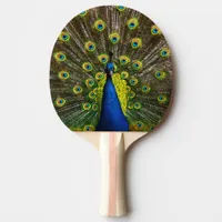 Colorful peacock ping pong paddle