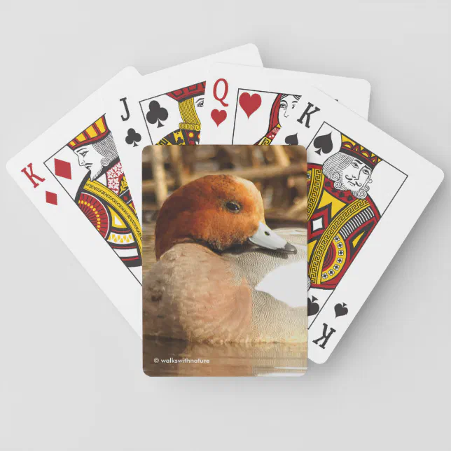 Handsome Stranger in Town Eurasian Wigeon Duck Poker Cards