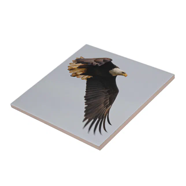 A Bald Eagle Takes to the Sky Ceramic Tile