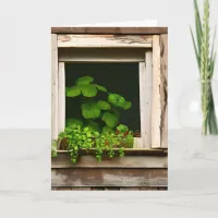 Pretty Plants in Rustic Window Birthday  Card