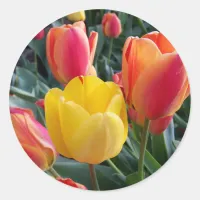 Red and Yellow Tulips Garden Photo Classic Round Sticker